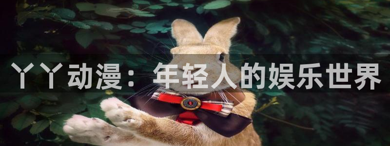 动漫岛下载安装