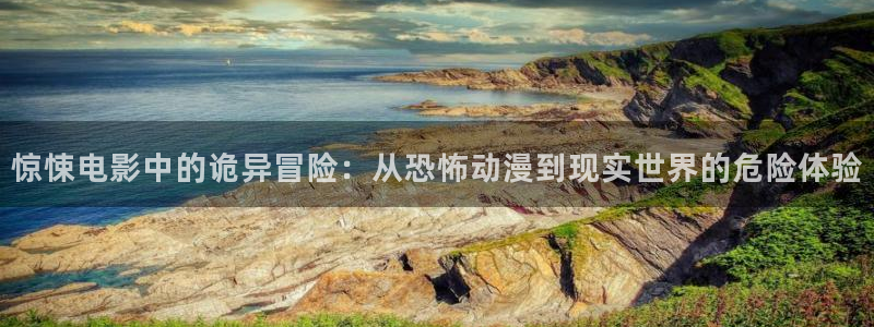 动漫岛官网在线观看